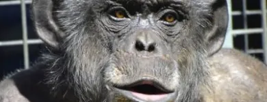 Business 3 image DAVID DODGE PHOTOGRAPHY Wedding Services in London Gr