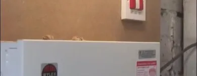 Business 73 image DELTIC ELECTRICAL Solicitors in Leeds We