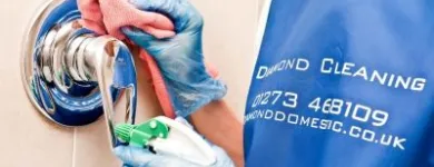 Business 6 image DIAMOND DOMESTIC CLEANING SERVICES LTD Facilities Management in Brighton Ea