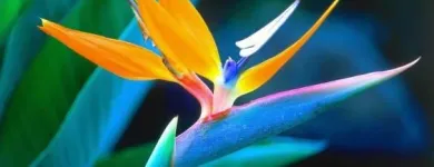 Business 1 image DR AYANNA KNIGHT - COSMETIC SKIN CARE, HEALTH & WELLBEING Skin Care Clinics in Brighton Ea