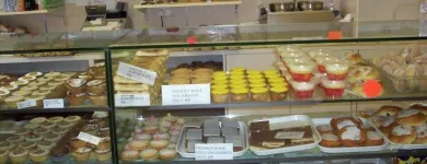 Business 7 image EVANS Ladies Clothes Shops in Harrow Mi