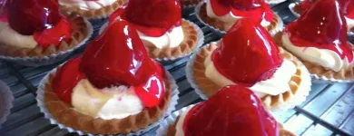 Business 5 image EVANS Ladies Clothes Shops in Harrow Mi