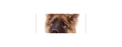 Business 3 image F.H JACKA Retail Bakers in Plymouth De