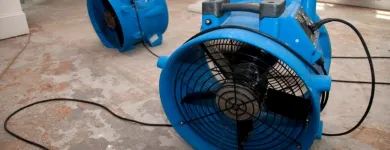 Business 15 image FLYING START MARJON Day Nurseries in Plymouth De