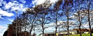 Business 3 image GOLD VIDEOGRAPHY Wedding Services in Belfast Co