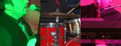 Business 2 image GOLDTONEW BAND Wedding Services in Ruislip Mi