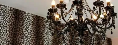 Business 4 image HAIR JUNGLE Hairdressers in Plymouth De