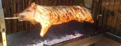 Business 9 image HAMPSTEAD VILLAGE TUTORS Tutoring in London Gr