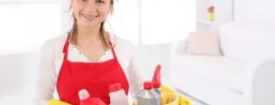 Business 3 image HARROW CARPET CLEANERS LTD. Construction & Contractors in Harrow Gr