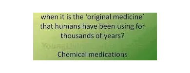 Business 12 image LIGHTWAVES-THERAPIES Reflexologists in London Gr