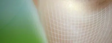 Business 2 image LOBINA TRANSPORT SERVICES LTD Overseas Removals in Ilkeston De