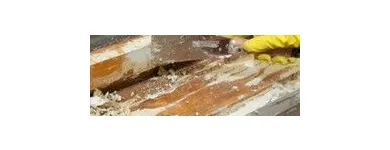 Business 3 image MAIN-PRO LTD Real Estate Services in Morley We