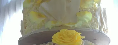 Business 4 image MILLICAN OPTICIANS Ophthalmic Opticians in Liverpool Me