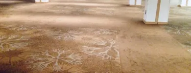 Business 1 image NORFLOOR LTD Home & Garden in Orpington Ke