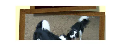 Business 3 image OLIVER ADAMS Retail Bakers in Northampton No