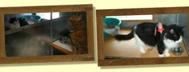 Business 1 image OLIVER ADAMS Retail Bakers in Northampton No