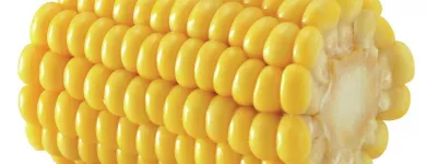 Business 4 image PERSONNEL SELECTION Recruitment Consultants in Brighton Ea