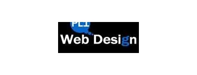 Business 3 image PL1 WEB DESIGN Web Developers in Plymouth De