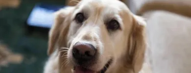 Business 1 image PLAN-IT OFFICE SOLUTIONS LTD Office Equipment Suppliers in Northampton No