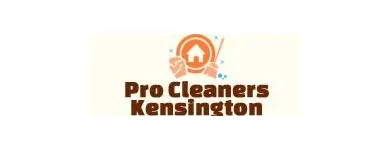 Business 2 image PROFESSIONAL CLEANERS KENSINGTON Window Cleaners in London Gr