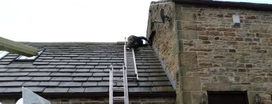 Business 9 image SAKS HAIR & BEAUTY Hairdressers in Liverpool Me