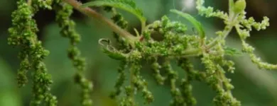 Business 2 image SCHOOL OF THE WILD Training Services in Brighton Ea