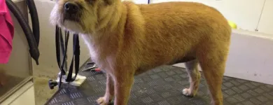 Business 6 image THINK HOTELS LTD Hotels & Inns in London Gr