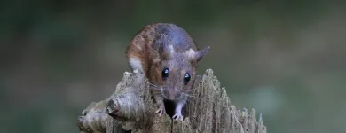 Business 3 image TOTAL ACCOUNTS DIRECT Bookkeeping Services in Brighton Ea