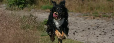 Business 5 image TOTAL ACCOUNTS DIRECT Bookkeeping Services in Brighton Ea