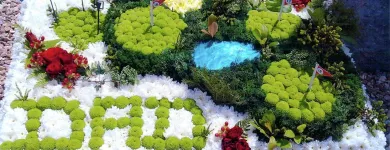 Business 3 image TRIBUTES Funeral Flowers in Plymouth De