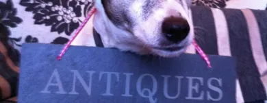 Business 1 image ZED'S REFURBISHMENT Property Development in London Gr