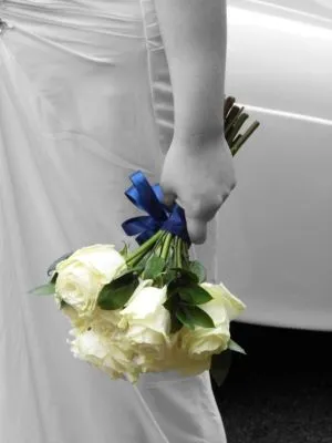 Business 7 image DAVID DODGE PHOTOGRAPHY