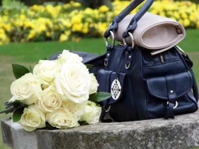 Business 9 image DAVID DODGE PHOTOGRAPHY