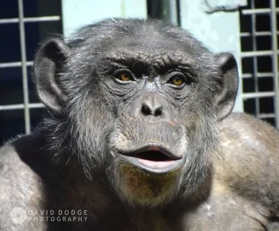 Business 3 image DAVID DODGE PHOTOGRAPHY