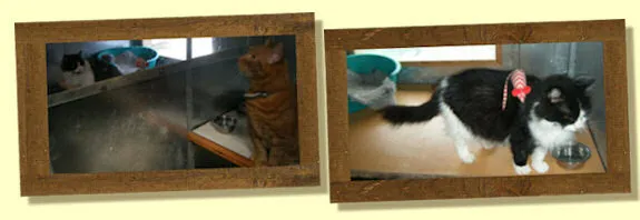 Business 1 image OLIVER ADAMS