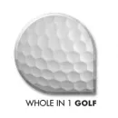 WHOLE IN 1 GOLF Software Publishers & Developers in Leeds We