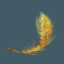 FETHERAY LTD Shopping & Retail in Brighton Ea