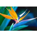 DR AYANNA KNIGHT - COSMETIC SKIN CARE, HEALTH & WELLBEING Skin Care Clinics in Brighton Ea