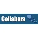 COLLABORA LTD Software Publishers & Developers in Cambridge Ca
