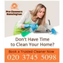 PROFESSIONAL CLEANERS KENSINGTON Window Cleaners in London Gr