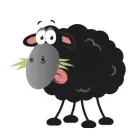 BLACK SHEEP UTILITIES LTD