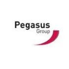 PEGASUS PLANNING GROUP NEWCASTLE UPON TYNE