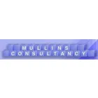 MULLINS CONSULTANCY LTD