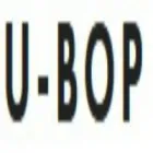 U-BOP ACCESSORIES