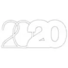 2020 PERFECT VISION LTD