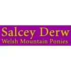 SALCEY DERW
