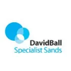 DAVID BALL GROUP PLC