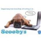 SCOOBYS DOGGY DAY CARE & DOG WASH NORTHAMPTON